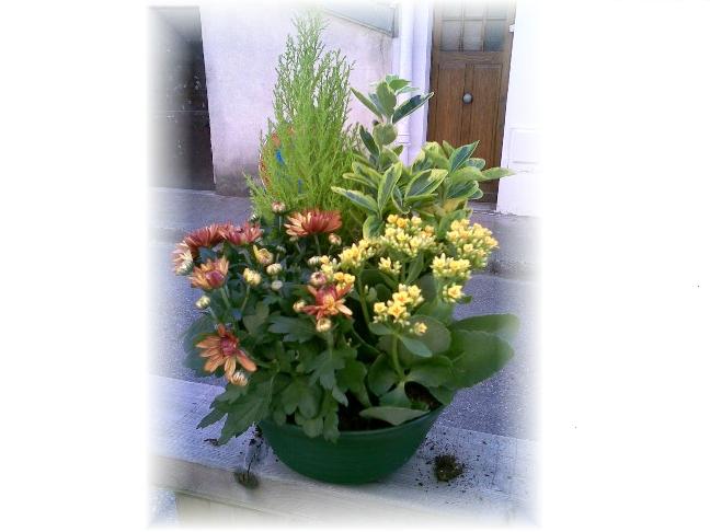 Livraison fleurs deuil - Coupe de plantes A